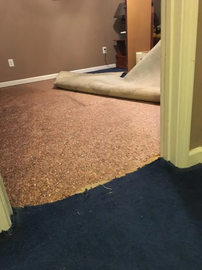 Carpet pad removal revealing water damage during Water Mitigation Services in Garfield